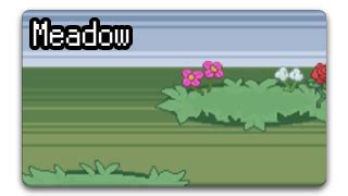 meadow pokerogue